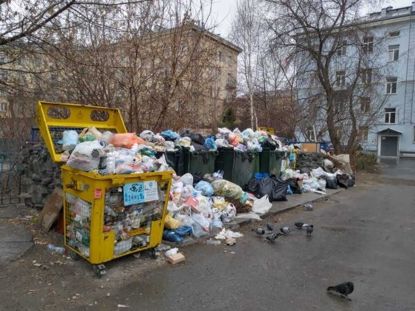 <br />
						«Экология-Новосибирск» обвинила бастующих водителей в саботаже