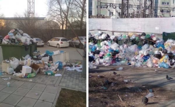 <br />
						Мусорному оператору дали три дня на вывоз отходов из Новосибирска
