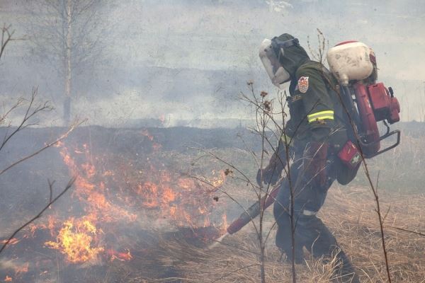 <br />
						Около 14 млрд рублей направят на тушение природных пожаров в этом году