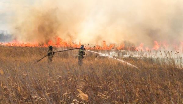 <br />
						В Курганской области объявлен режим ЧС из-за природных пожаров